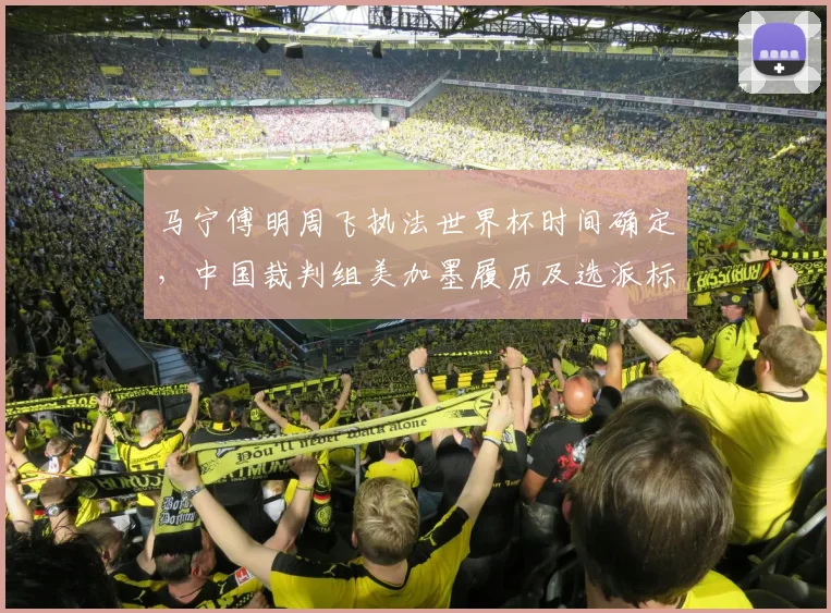 马宁傅明周飞执法世界杯时间确定,中国裁判组美加墨履历及选派标准解读
