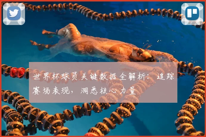 世界杯球员关键数据全解析:追踪赛场表现,洞悉核心力量